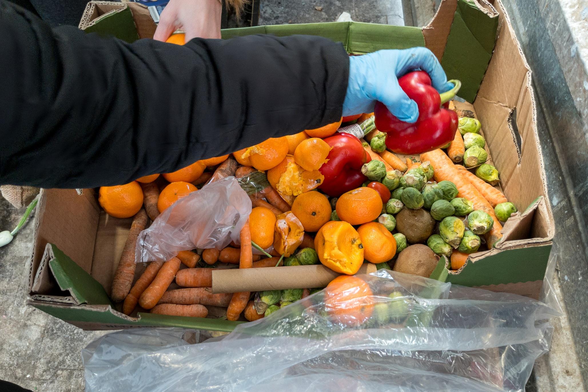 Can Carbon Credits Help Solve Food Waste? Brightly Tests A New Model