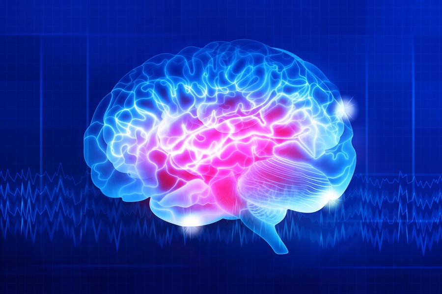 Monogamous And Nonmonogamous Men's Brains Respond Differently To Romantic Images