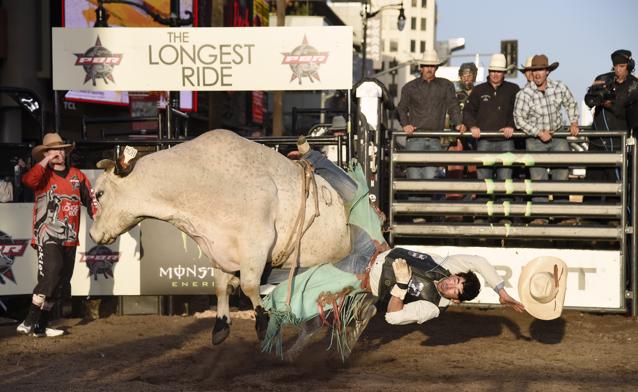 Leadership Lesson: Respect The Bull, Not His Reputation