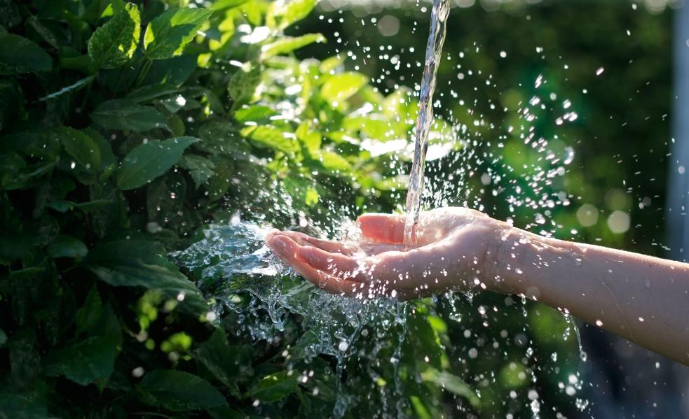 Put Your Money Where Your Water Is: The Global Call for Water Stewardship