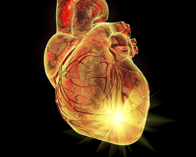 Amarin's Fish Oil Derived Drug Shows Great Promise -- With Big Caveats