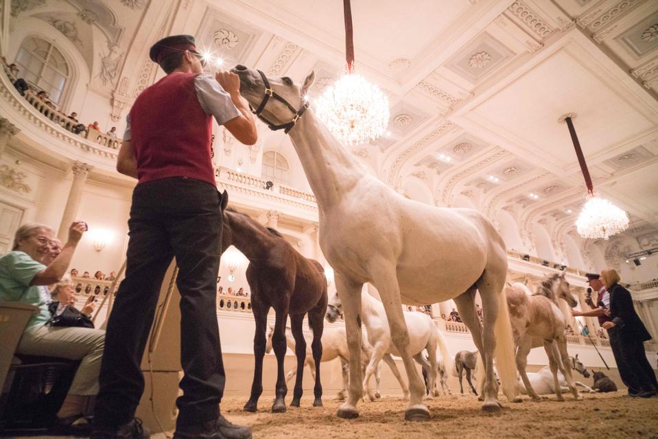 AUSTRIA-FEATURE-SPANISH-RIDING-SCHOOL