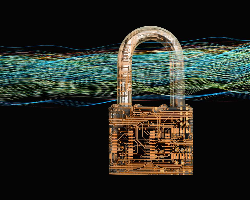 Cyber Security Data Lock
