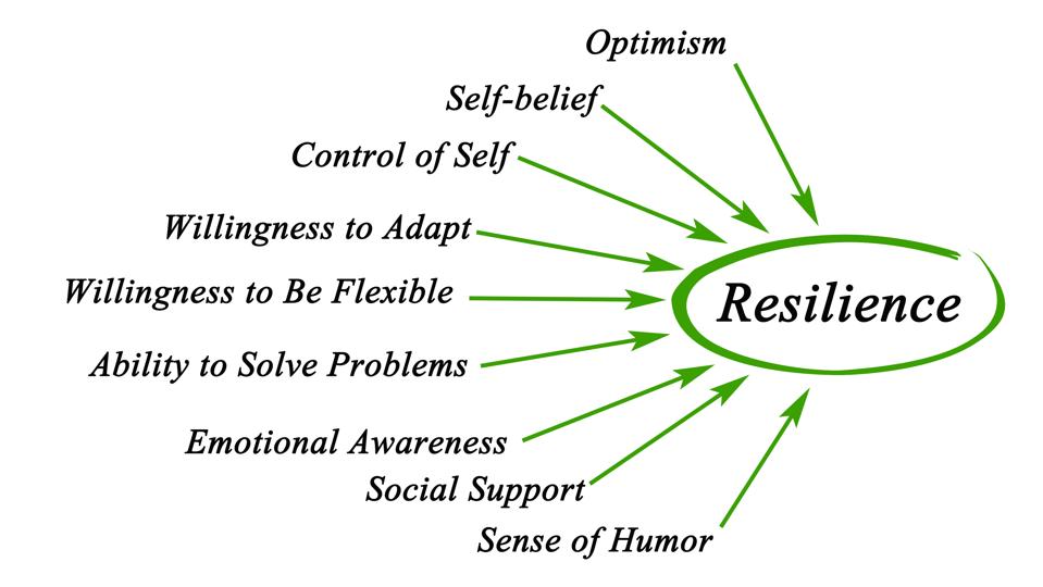 Diagram of Resilience