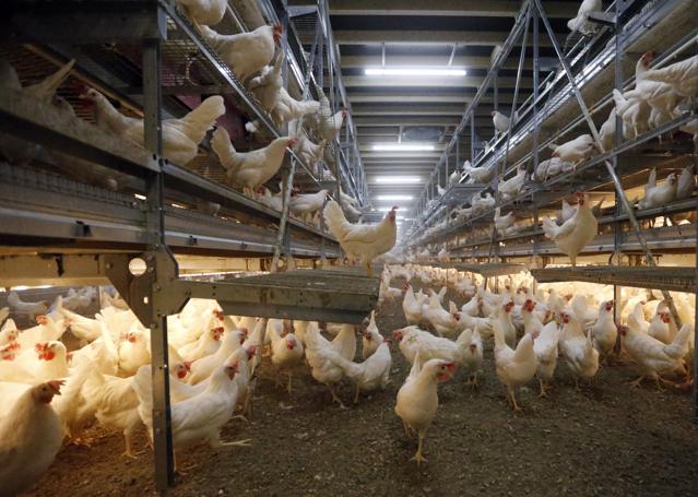 landstreet landstreet