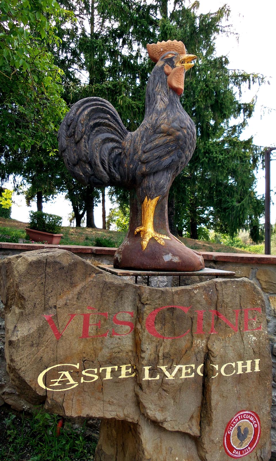 Views And People Of Tuscany