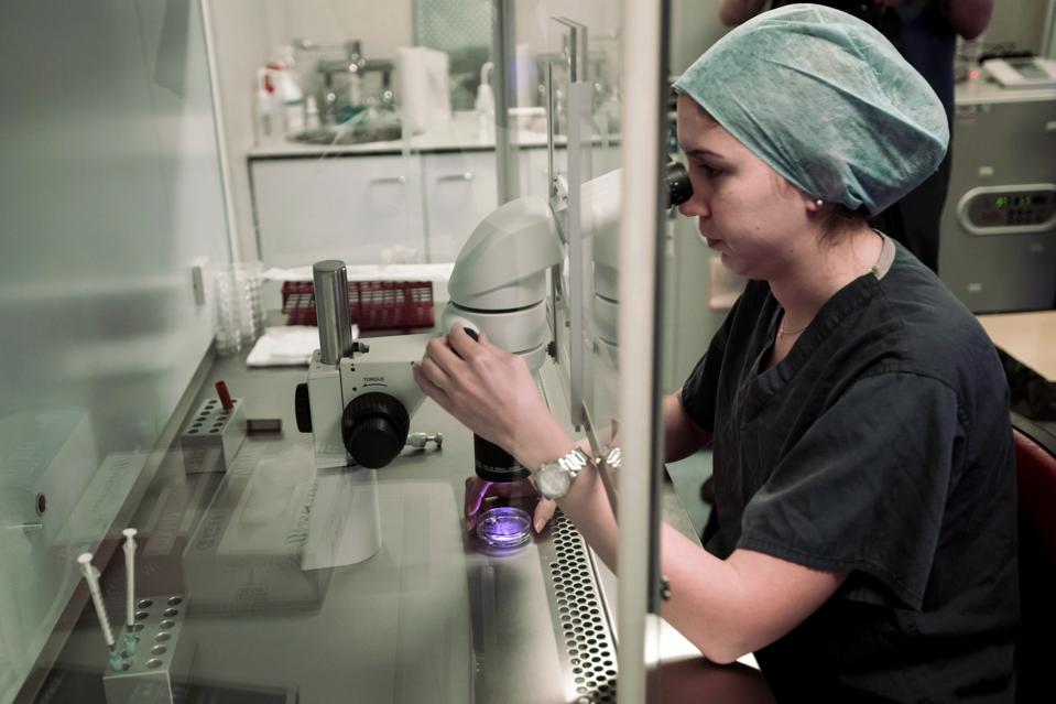 ivf retrieved 8 eggs Be How Patient A Driven, To Data Informed IVF ivf retrieved 8 eggs Be How Patient A Driven, To Data Informed IVF