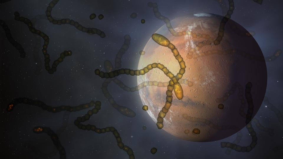 Virus extraterrestres? La amenaza fantasma de la exploración ... Virus extraterrestres? La amenaza fantasma de la exploración ...