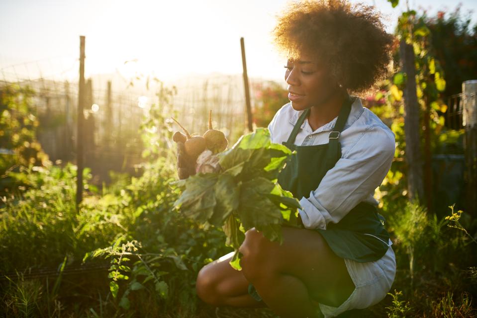 farming living off land