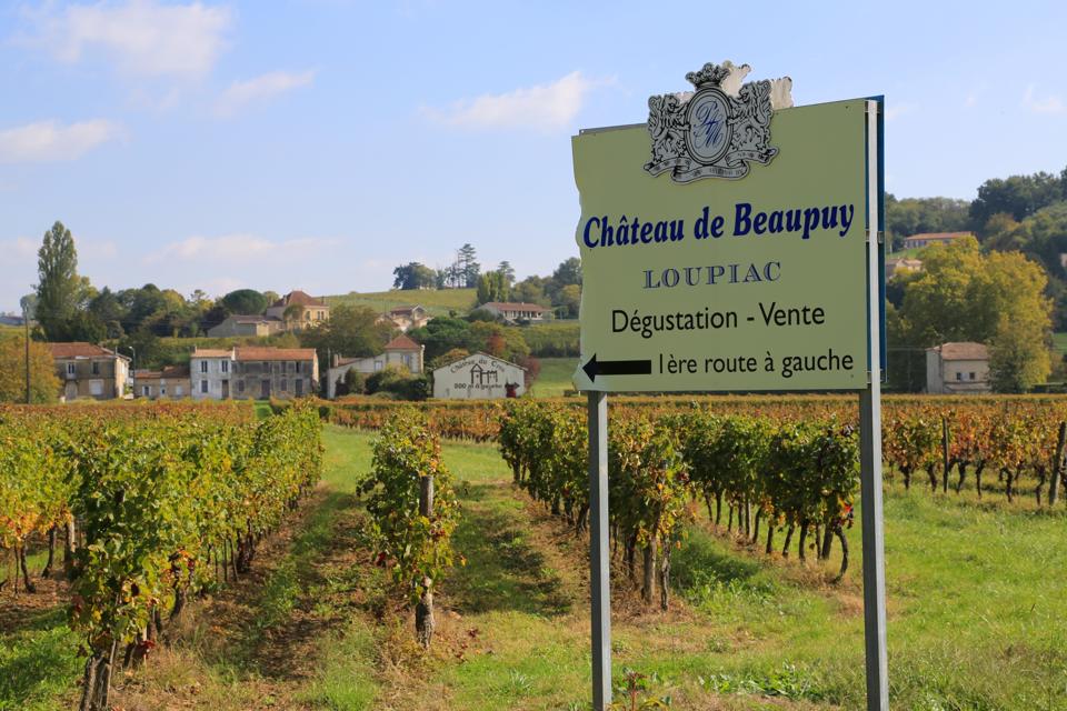vineayards, Bordeaux, wine tasting