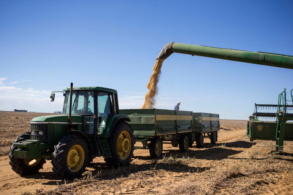 SAFRICA-AGRICULTURE-ECONOMY