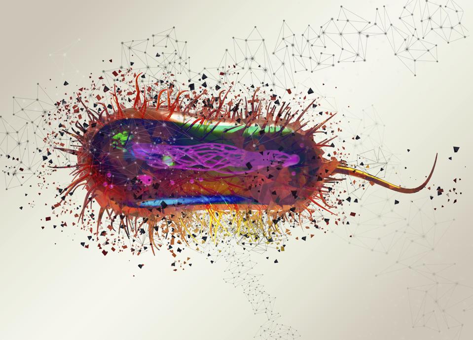 E coli virus, description