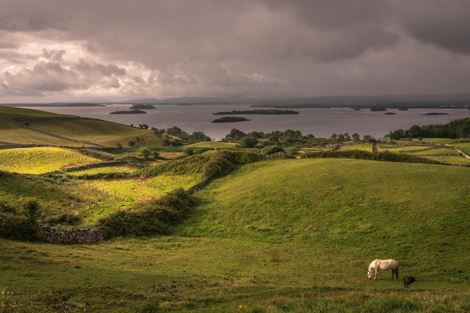 Farmland in Galway, Ireland.