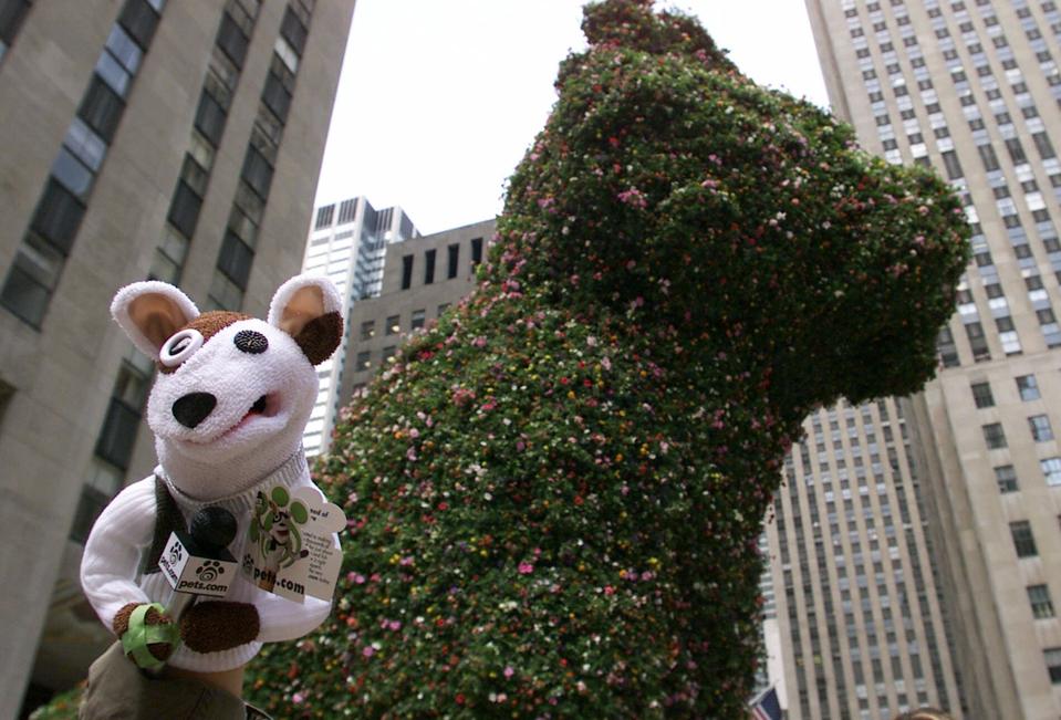 PETS.COM INTERNET LICENSING