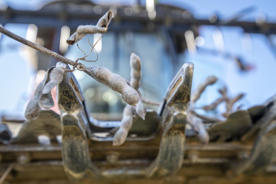 China Soy Deal Not That Big A Deal