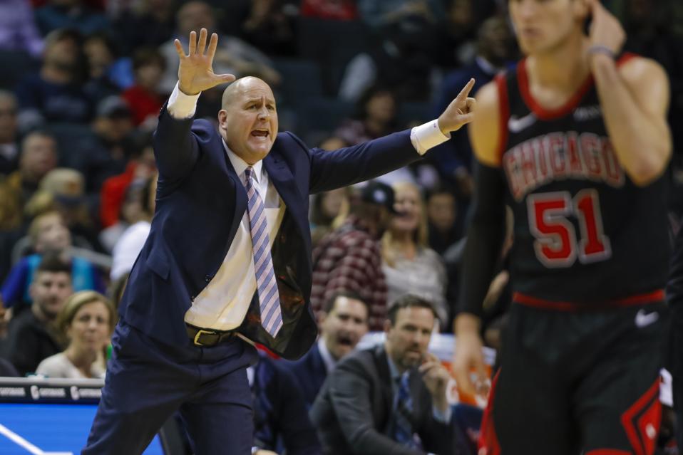 Bulls Hornets Basketball