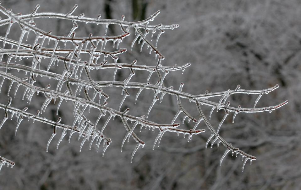 Download Parts Of The Northeast Could See Significant Ice From Freezing Rain On Monday Free Wallpaper Parts Of The Northeast Could See Significant Ice From Freezing Rain On Monday Desktop Wallpaper