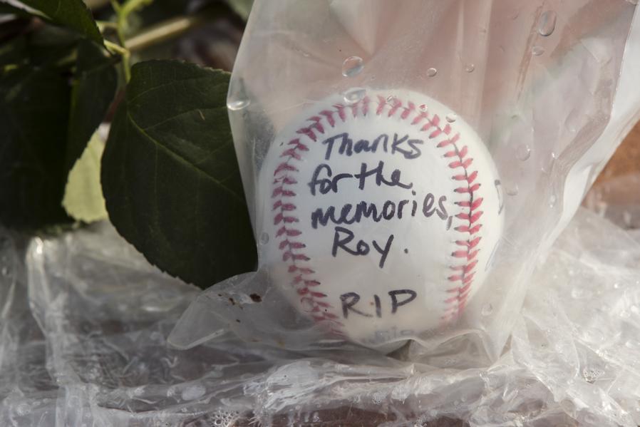Halladay Crash Video Shows What Happened But Not Why