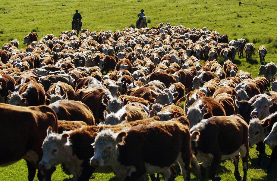 Marfrig Global Foods To IPO Keystone Subsidiary