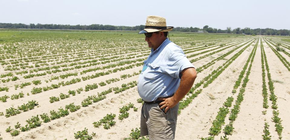 Regional Climate Centers Provide Vital Services But Their Future Is Cloudy Regional Climate Centers Provide Vital Services But Their Future Is Cloudy