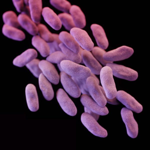 Woman Dies From Bacteria Resistant To All Antibiotics: Why Don't More People Care?